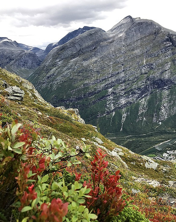 Litjkalken, Kalknebba og Storkalken bakerst
