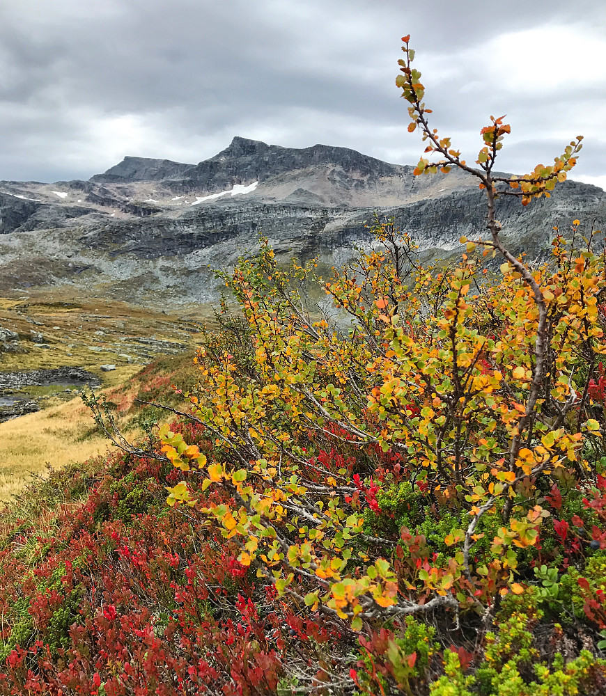Høst i Trollheimen :)