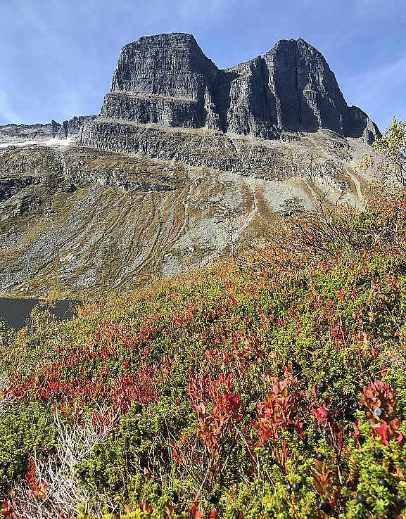 Skarfjellet