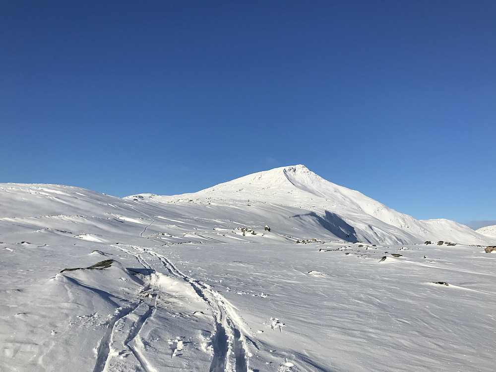 Storbekkhøa