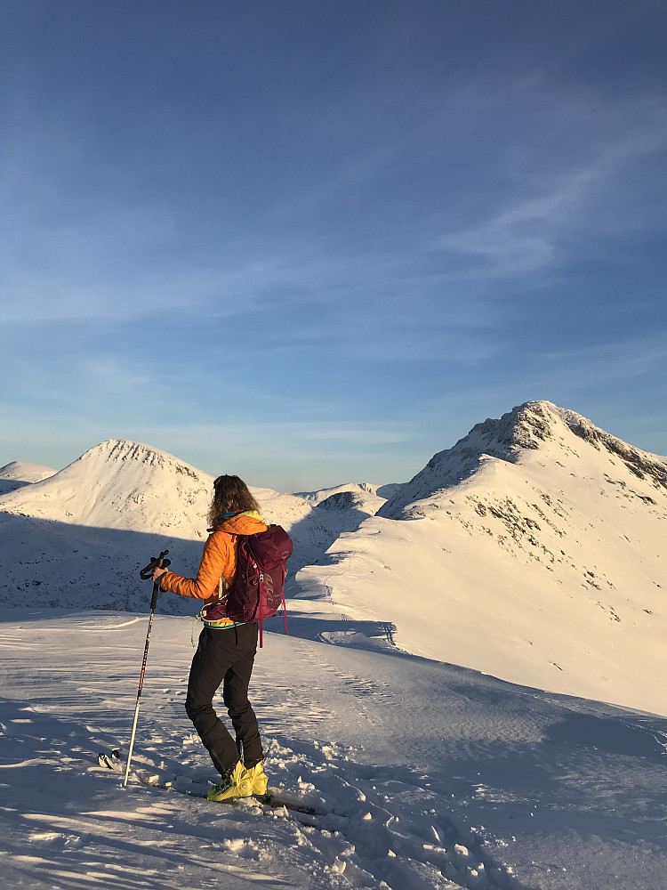Rognnebba & Tydalsnebba