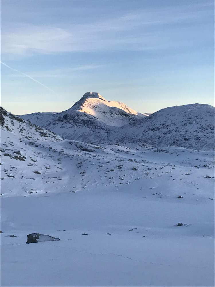 Neådalssnota