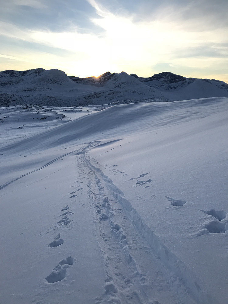 Skjerdingfjellet & Snøfjellet
