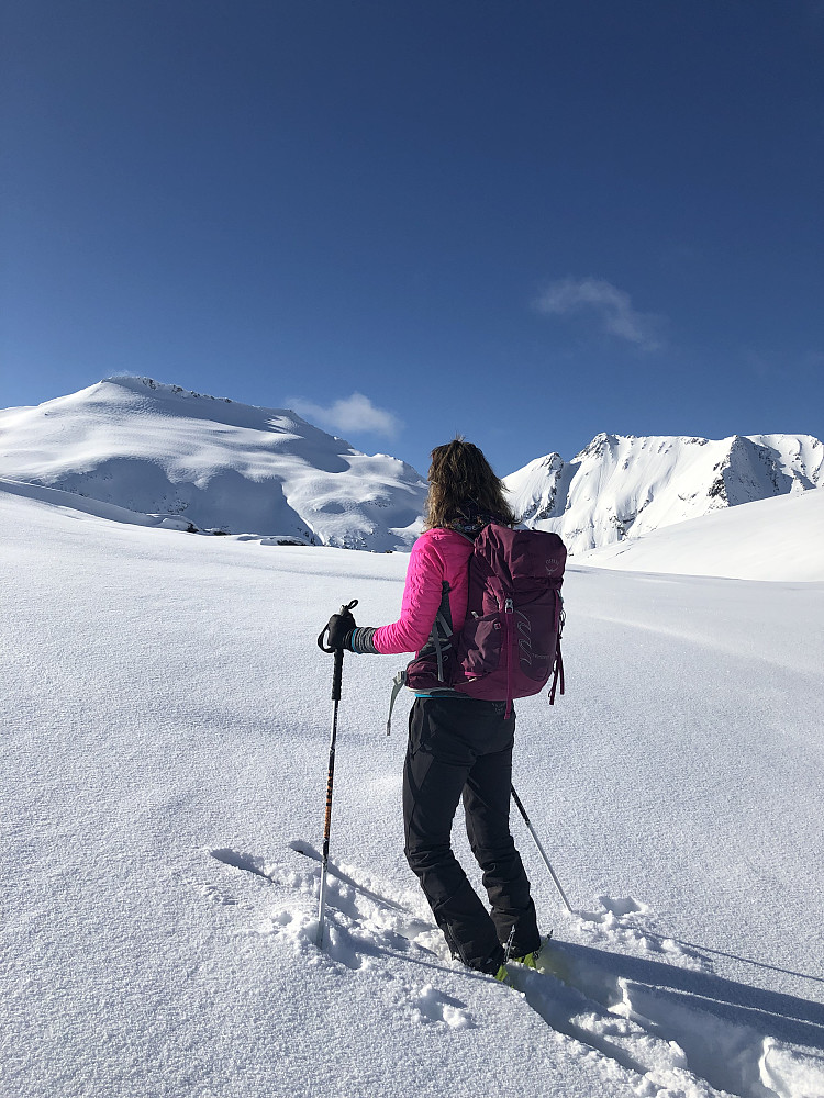 Fløtatind & Trondskjortetind