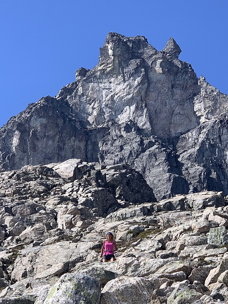 Kongen i bakgrunnen