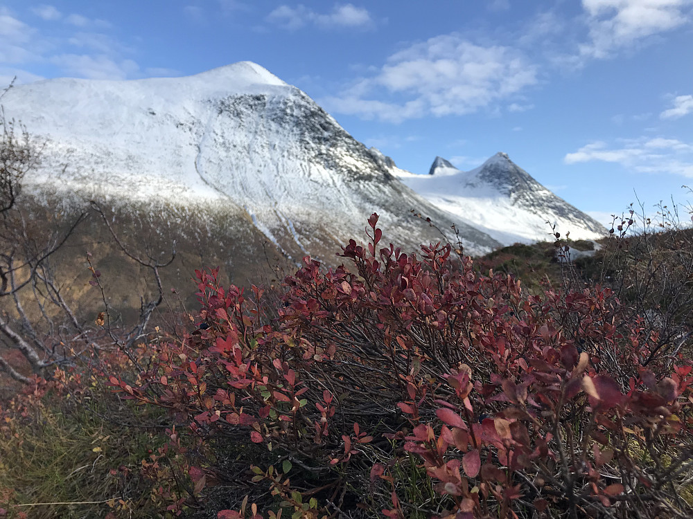 Skjorta & Litlskjorta