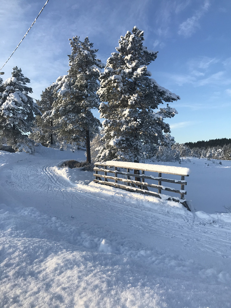 Fin vinterstemning - men litt lite snø...