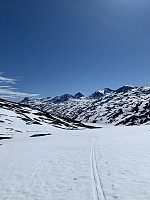 RandiFo_20210530_60b33f510ffb9.jpeg