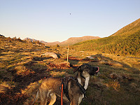 Hcone_20200824_5f43d3a42aaf1.jpg