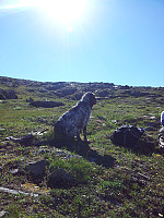 Hcone_20200916_5f61fe862490d.jpg