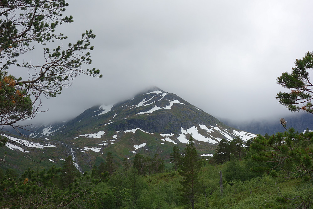 Pekhøtta under et tåkeslør