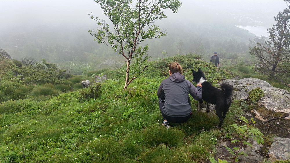 Vi møtte bare på en hund på veien ned, men den var grei så jeg trengte ikke å sette han så mye på plass som jeg pleier..