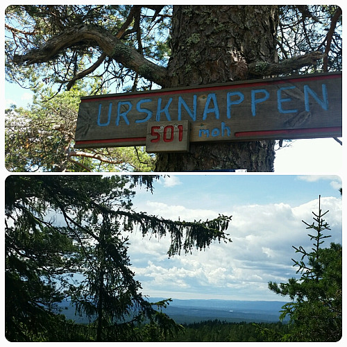 Ursknappen 