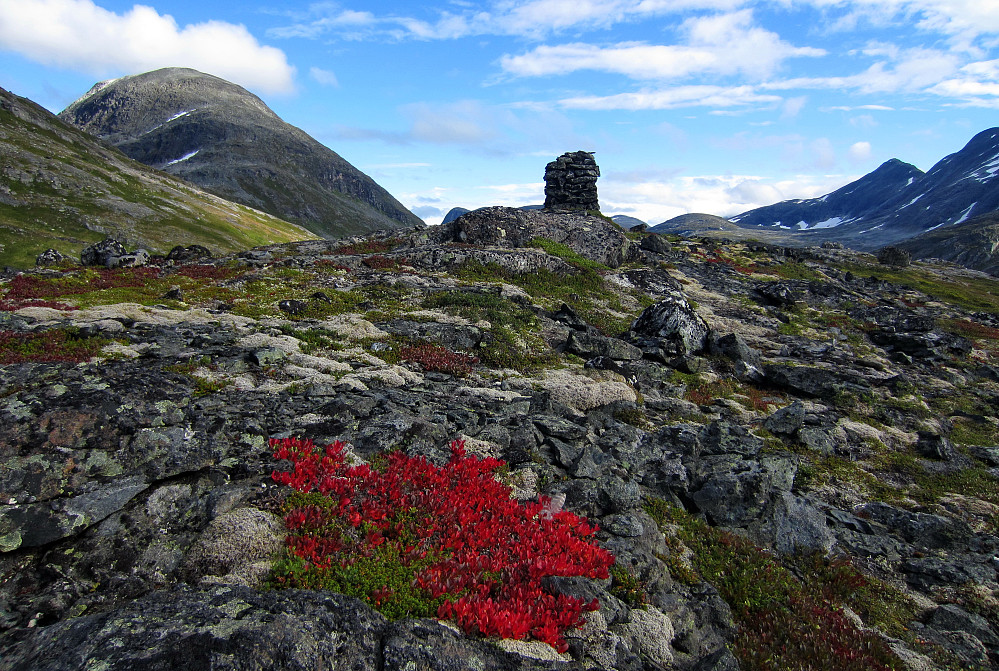Salhøa sett frå Kula.
