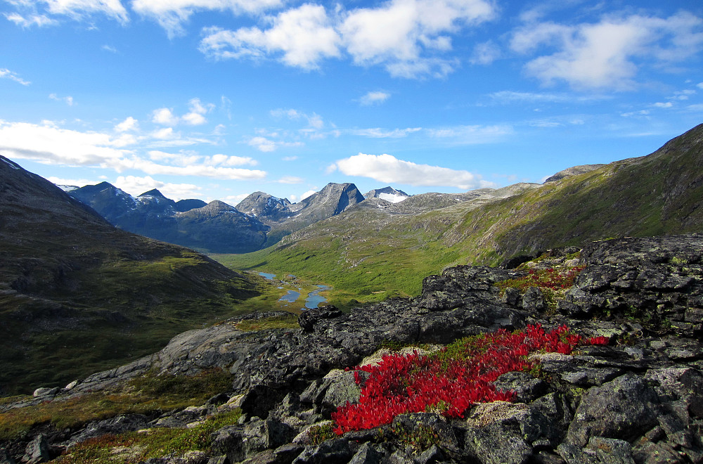 Nedre del av Langfjelldalen sett frå Kula.