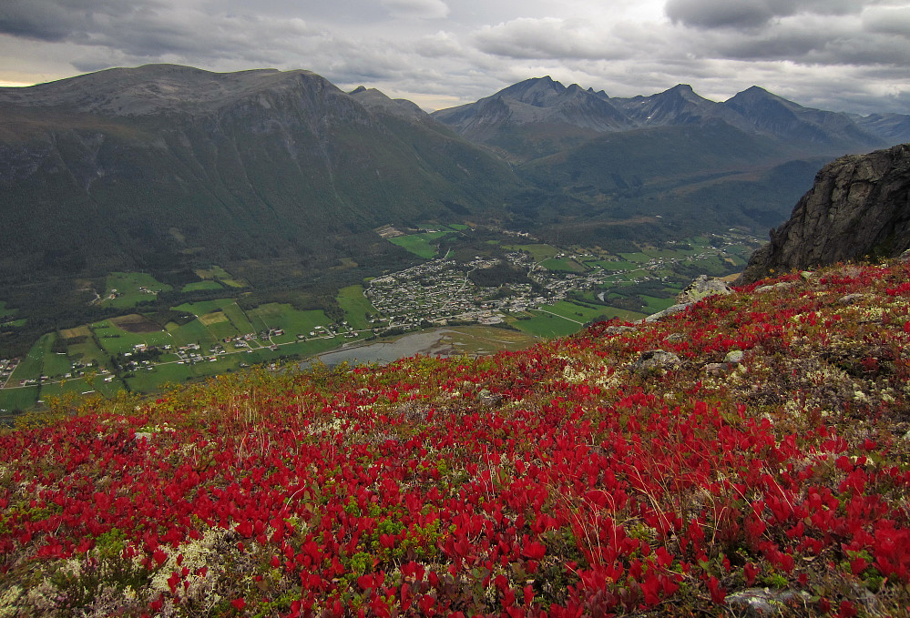 Flotte fargar over Isfjorden.
