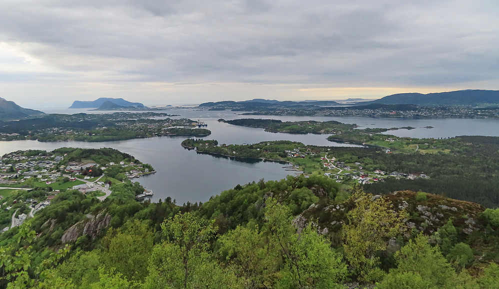 Mot Ålesund.