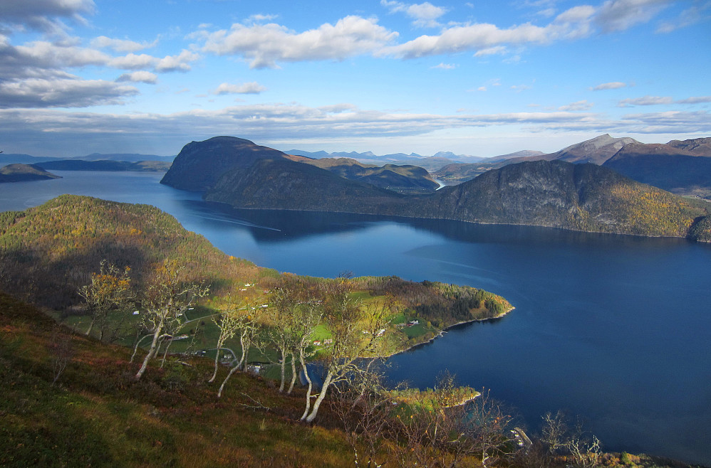Utsikt utover fjorden. Rødvenhalvøya på motsatt side.