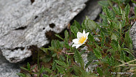 helgeF_20170702_5958dcf011a4f.jpg
