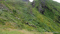 helgeF_20170804_5984c469628f0.jpg