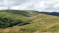 helgeF_20170804_5984c47576de5.jpg