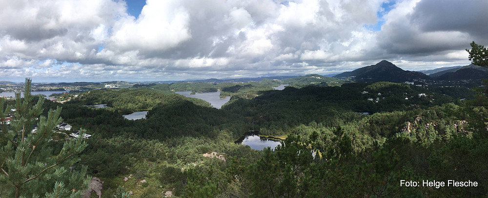 Panorama nordover over Alvøskogen
