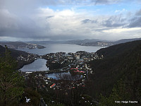 Fra Lyngbønipa N mot Byfjorden