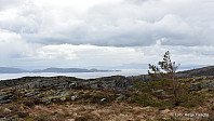 Korsneset og Bjørnafjorden med Tysnessåta i bakgrunnen.