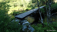 Broen over Frotveitelven