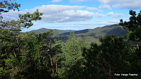 Utsikt fra Grønhovda mot Lyshornet