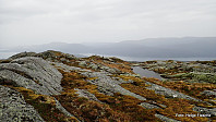 Litt disig til å få den beste utsikten V-over fra Grytefjellet.