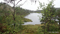 Remavatnet