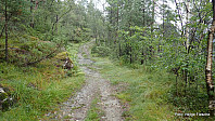 Følger traktorvei.