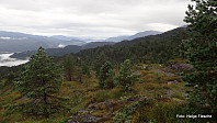 Det åpner seg utsikt mot Bjørnafjorden.