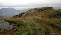 Geitnipa