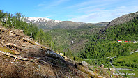 Et stykke oppe i hogstfeltet har man flott utsikt mot Gullfjellet ...