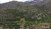 Sauafjellet er nærmeste nabo.