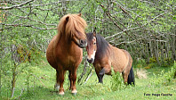 De to turgåerene jeg møtte på toppen.