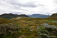 I bakgrunnen mellom Suletind/-fjell og Bleia skimter man Høgeloft.