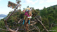 Eksempel på utradisjonell merking.