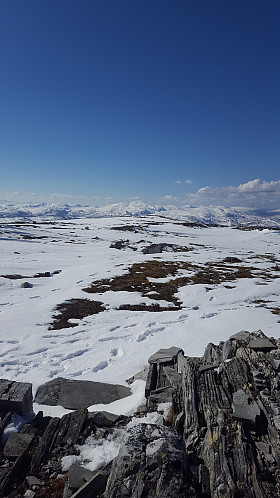 Fra Omnfjellvarden mot Ruten og andre fjell.