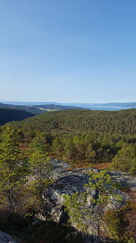 Utsikten fra Storheia utover Trondheimsfjorden