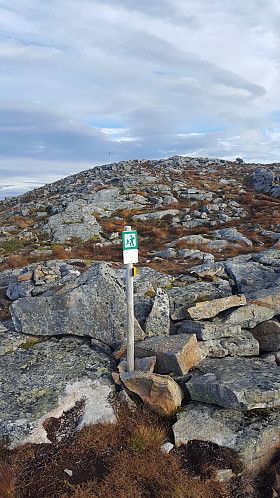 Ålesunds høyeste punkt ligger ikke langt fra toppen. Hvorfor de ikke la grensen rett over toppen kan man jo lure på :)