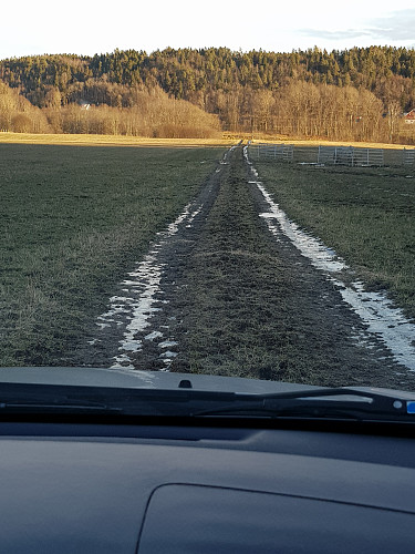 Veien over jordet frem til Voll gård :)