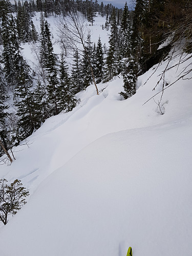 Her gikk vi opp. Måtte som sporet viser gå litt på kryss og tvers.
