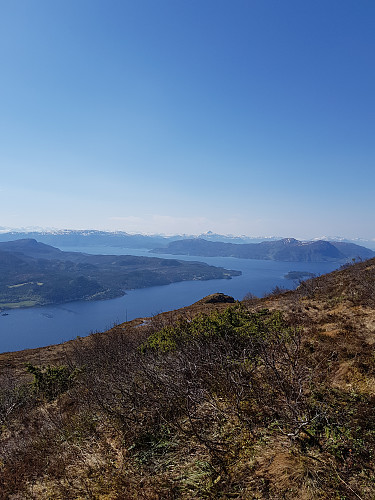 Utsikt utover fjorden mot Magnhildfjellet