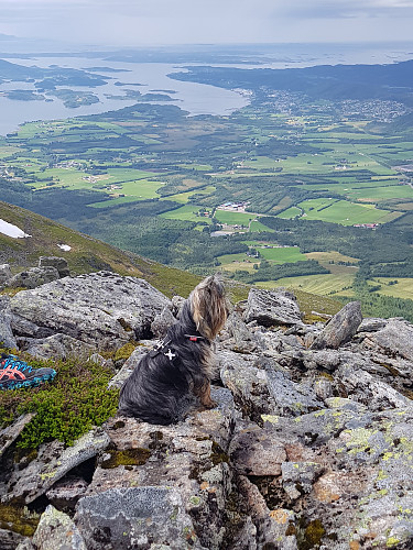 Wilma skuer ut over Elnesvågen