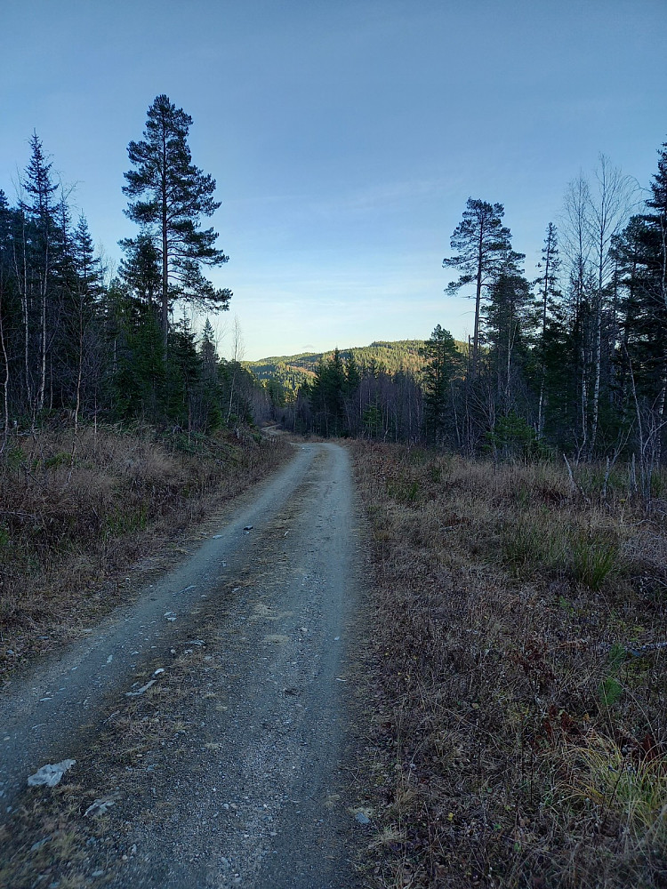 Veien opp Slåttmyrdalen