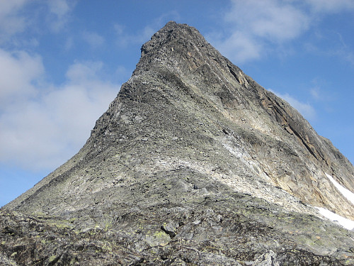Den første bratte stigningen etter man har kommet opp på ryggen. Det var på toppen her at vi ikke fant riktig vei, men rotet oss ut på en smal hylle til høyre.