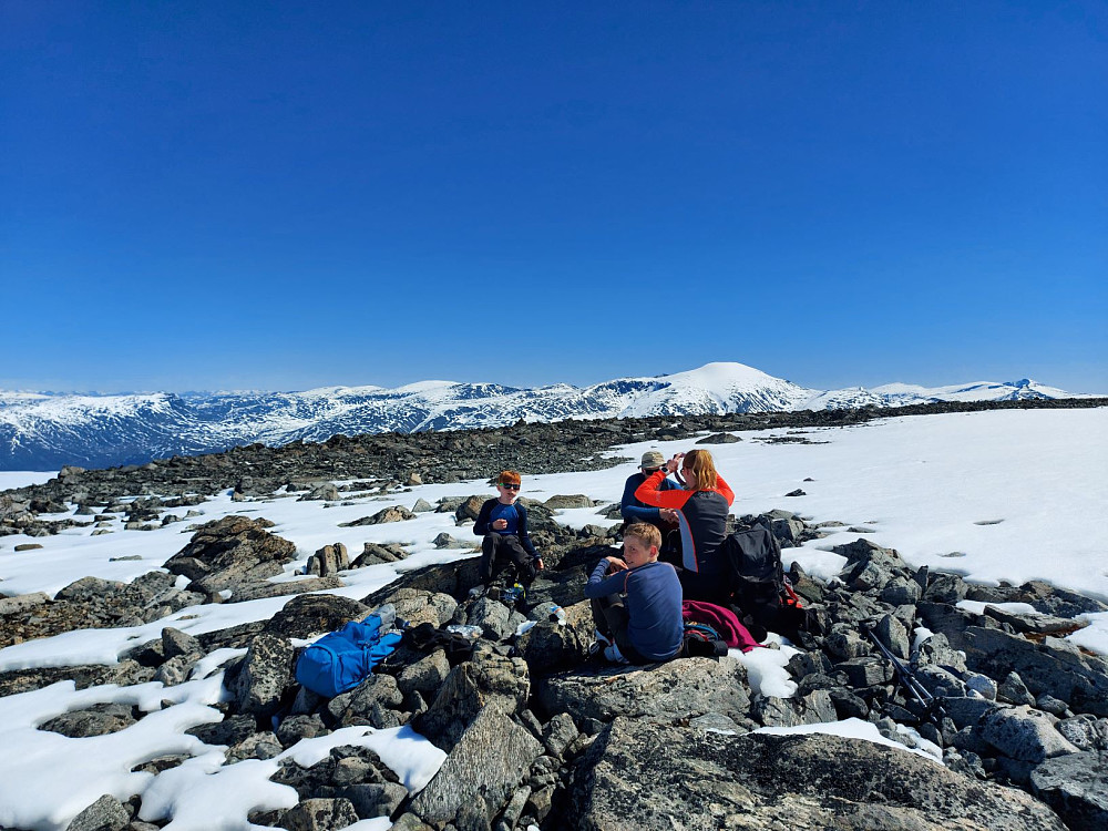 Lunsjplass under Svellnose